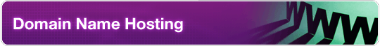 Domain Name Hosting