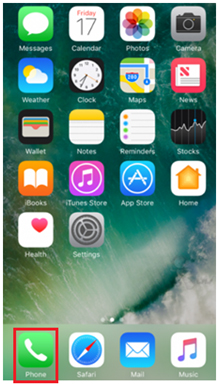 phone icon