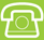 voice icon